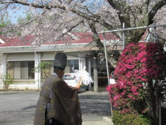 和喜久の杜（大きな桜の木は御神木なのだそうです）