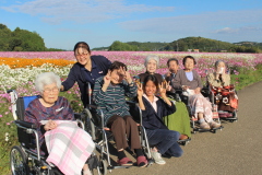 ♬ピンクや白のコスモスいっぱいが陽だまりに揺れている…