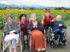 広がるひまわり畑！ゴッホにも見せてあげたい！