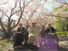 桜の下で、みんなの笑顔も満開！