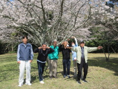 桜サイコー！！