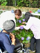 この紫陽花、ブルーで珍しい形だね！どれどれ？みせて！